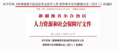 會計(jì)初級考生福音 信息技術(shù)咨詢服務(wù)助力證書查詢與打印